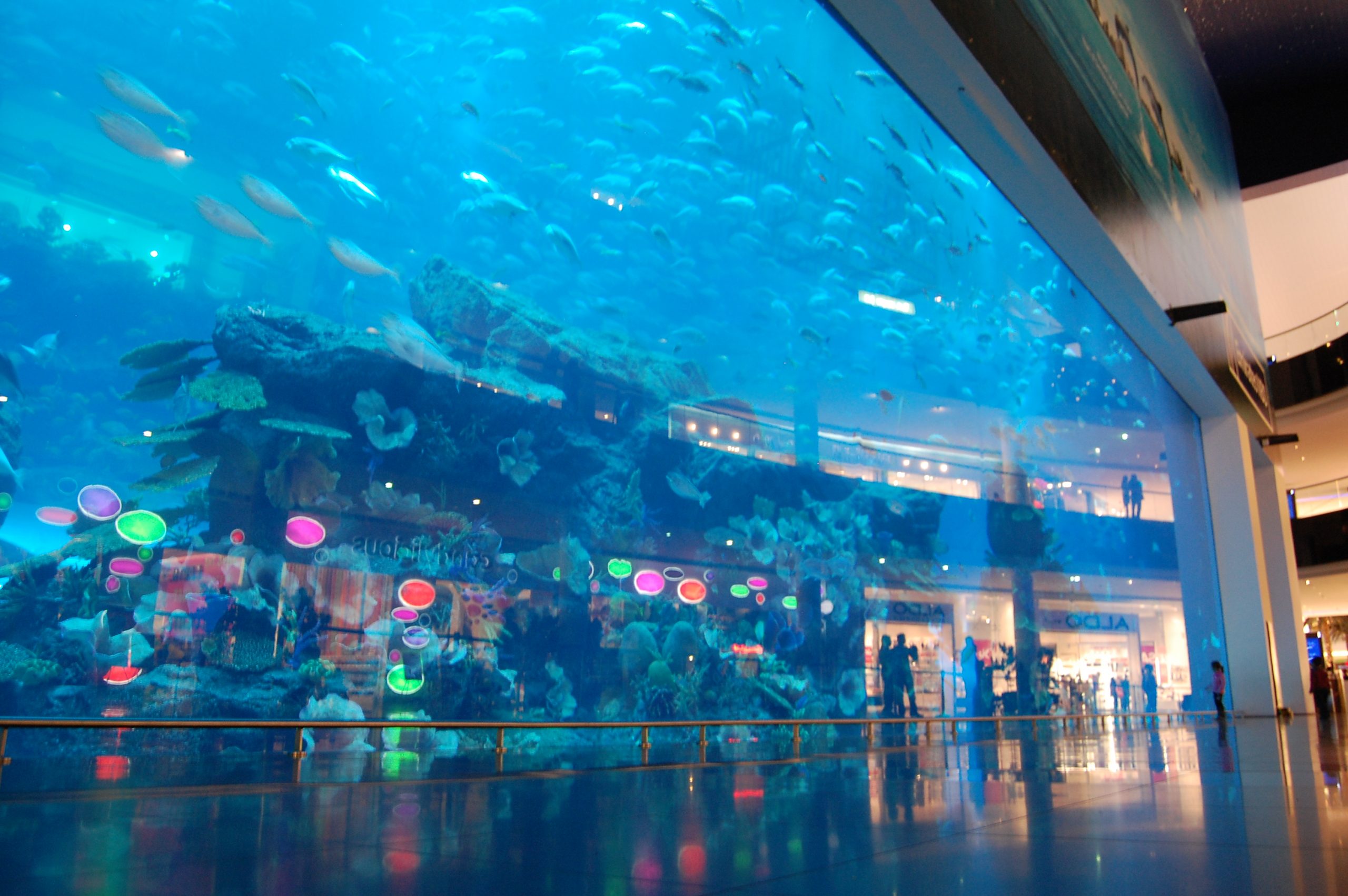 dubai aquarium - إكواريوم دبي (1)