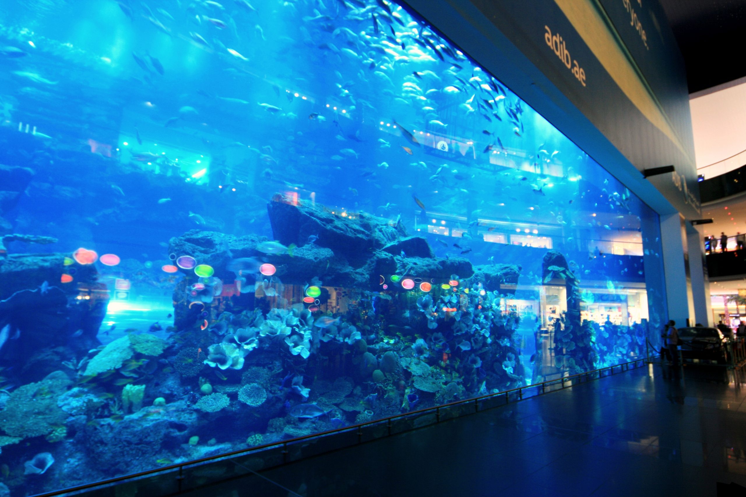 dubai aquarium - إكواريوم دبي (3)