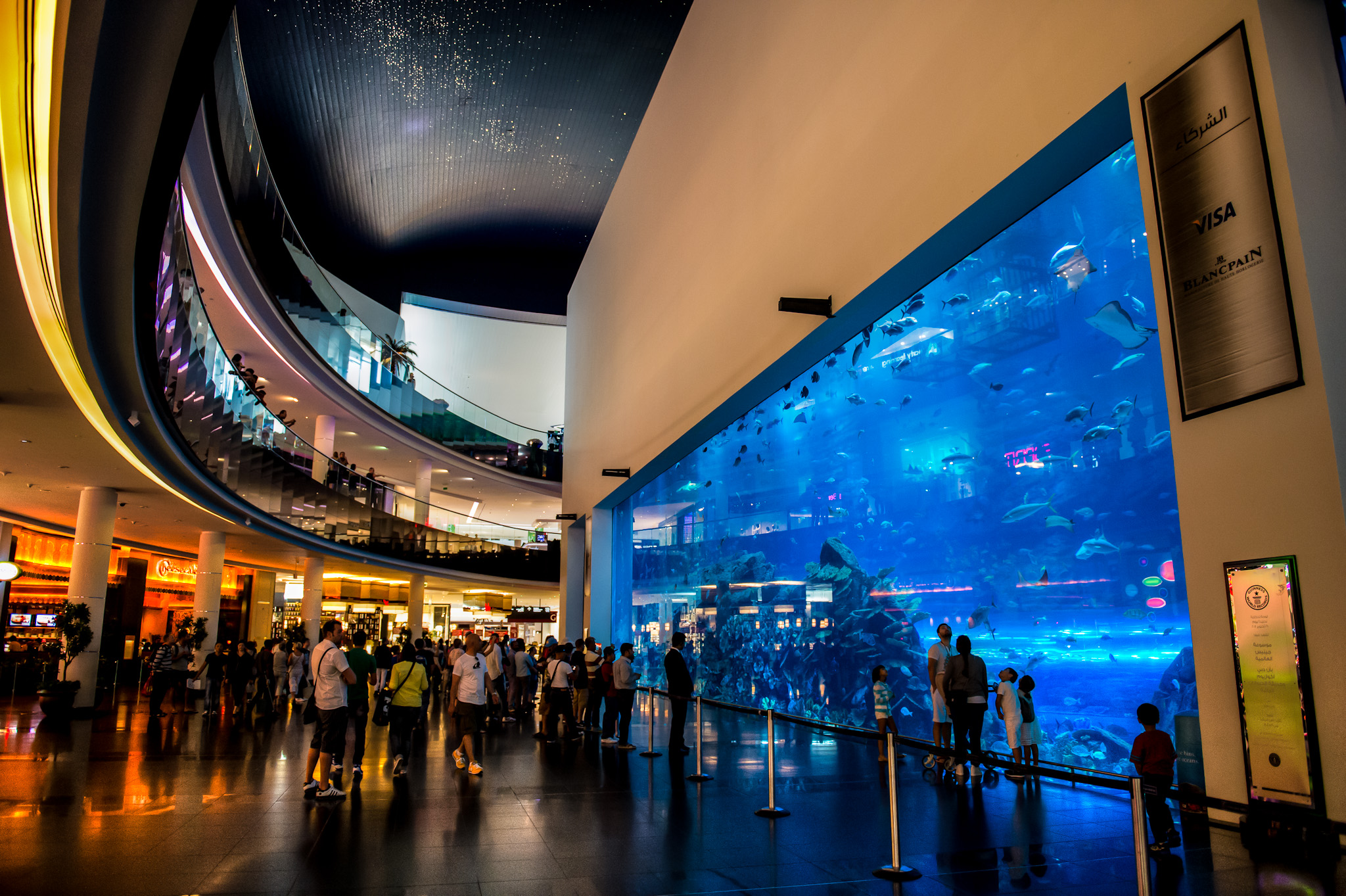 dubai aquarium - إكواريوم دبي (4)