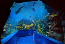 Sharjah Aquarium