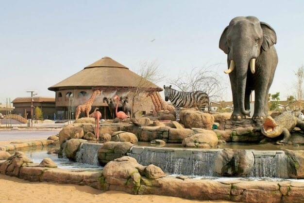 Photo of Dubai Safari Park Tickets, About, Activitie And More