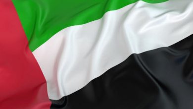 صورة نظام الحكم في الإمارات العربية المتحدة