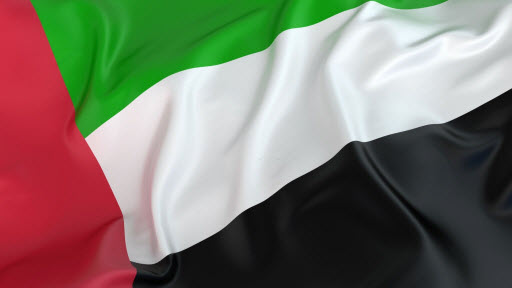 صورة نظام الحكم في الإمارات العربية المتحدة