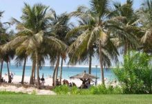 حديقة شاطئ الجميرا