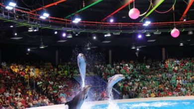 Dubai Dolphinarium