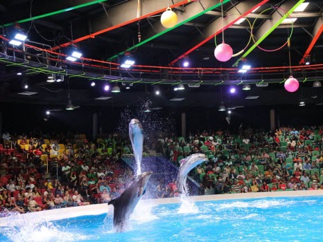 Dubai Dolphinarium