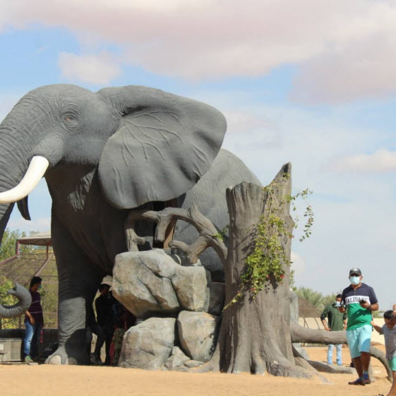 umm al quwain zoo