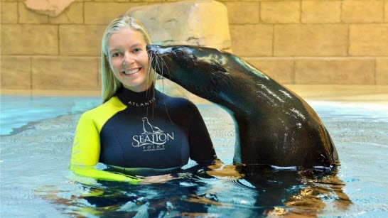 Meeting cute sea lions