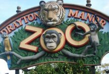 Drayton Manor Zoo