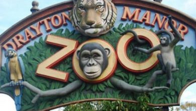 Drayton Manor Zoo