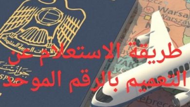 الاستعلام عن التعميم بالرقم الموحد