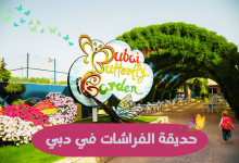 حديقة الفراشات في دبي