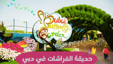 حديقة الفراشات في دبي
